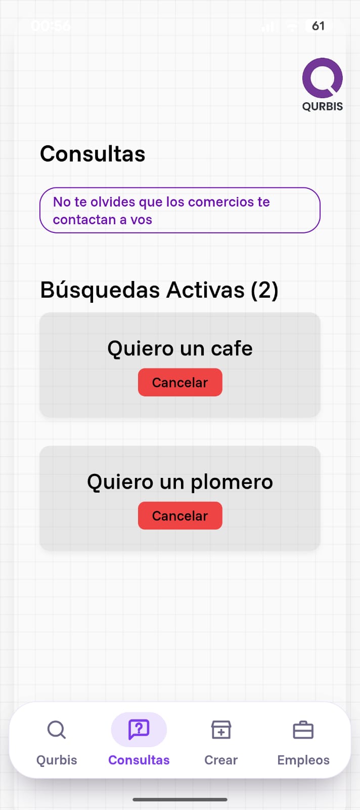 Pantalla de Consultas con tus búsquedas activas